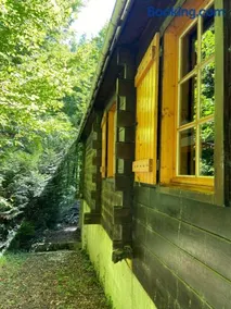Refuge Nature - Chalet avec Terrasse vue forêt - Image 5