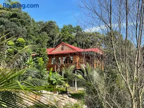 Ong Vinh House - Living Among Nature ! - Image 2