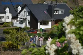 Weingut im Moselkrampen - Image 1