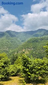 Machakhela ODA - Image 2