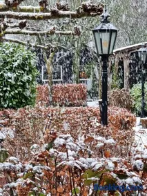 B&B de Prieelhoeve - Image 3