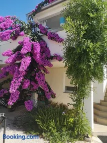 Apartman Legac 1 Nin - Image 3