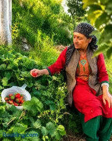 Justa Farms - Image 1
