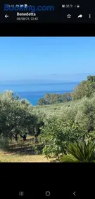 Agriturismo Parco degli Ulivi - Image 1