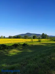 Napraforgó apartman Tokaj - Image 2