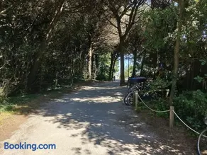 Stella Marina - Image 2