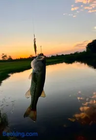 Papa's Cabin - 40 acres & 5 acre lake! - Image 3