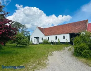 Camønogaarden B&B, darksky cabins and events - Image 2