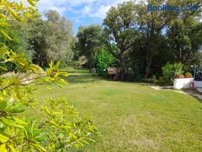 L'Ulivo - Image 2