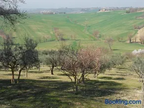 Agriturismo Il Poggiolo - Image 3