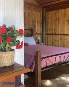 Glamping Panorama - Image 5