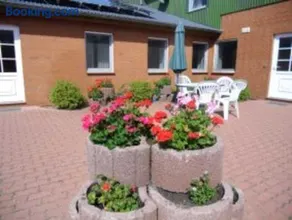 Ferienhof Budach - Landurlaub vor den Toren Flensburgs - Image 3