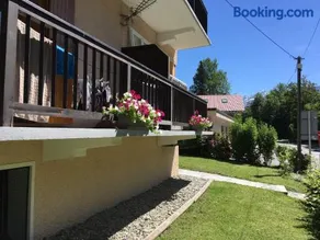 Fizhome Mt Blanc - Image 1