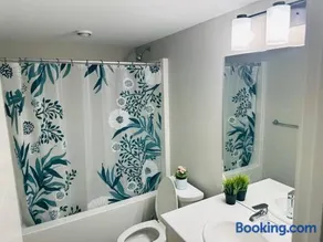 1 Bedroom modern basement suite with private entrance - Image 3