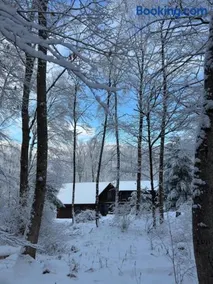 Perfect Vermont Battenkill Log Cabin - Image 2