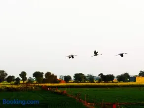 Royal Farm Bharatpur - Image 4