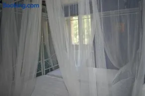 el calero - Image 4