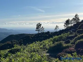 Casinha do Sol - Natureza & Lazer - Serra da Freita - Image 2