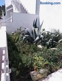 Apartment Tara - Image 4