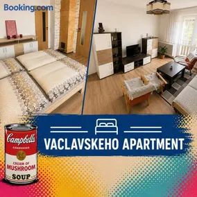 Vaclavskeho Apartment Medzilaborce - Image 1