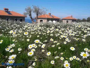Ktima Kiourelioti - Image 2