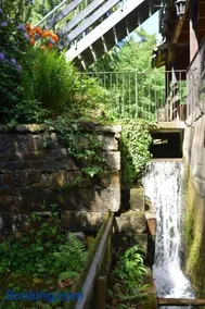 Historische Wassermühle im Wald mit Wasserfall - Image 2
