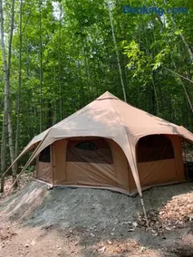 Forest Yurt - Image 4