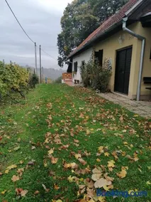 Rural house above the forest - Image 3