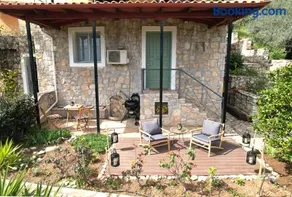 The Olive Tree - Image 3