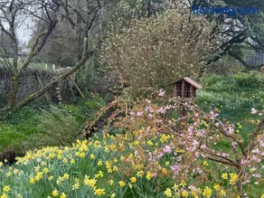 Garden Studio for Two - Image 4