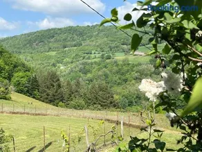 Le Caux - Image 2