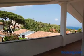 Marinho - Image 2
