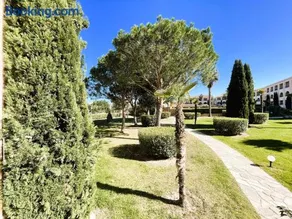 Résidence marine de bravone Accès plage, Piscine - Image 2