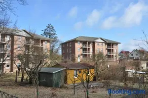 Zinnowitz, Strandgut - Image 2