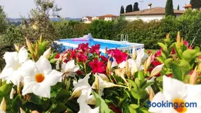 Le Macine di San Salvadore - Image 3