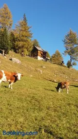 Platzerhütte - Image 3