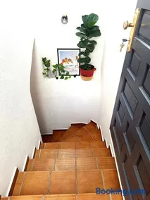 Bellavista Basement - Image 2