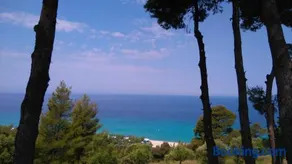 Blue Luxury Maison - Image 2