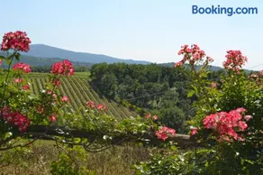Agriturismo Cignanbianco - Image 4