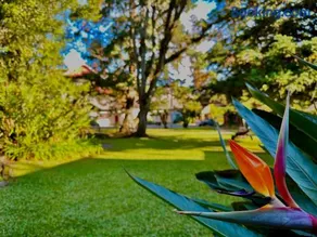 Natur Hotel - 700m da Rua Coberta - Image 3