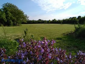 Gîte les Hirondelles - Image 4
