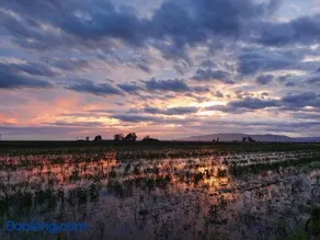 Entre Aguas - Image 5