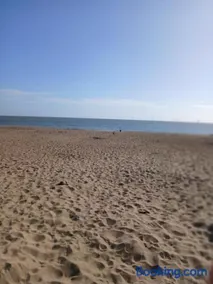 Accessible and dog friendly caravan - Image 3
