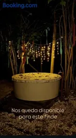 Forest Glam - Image 2