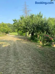 Holiday Home Tenuta Santella - Image 5