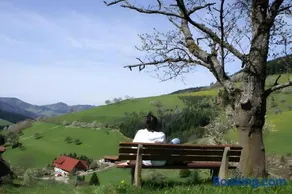 Unterer Gurethshof - Image 3
