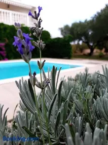Holiday Home Villa Emma - Image 3