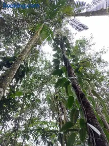 ECO HOTEL RIO DE ORO - Image 3