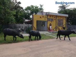 Habitat Marajó Hostel e Turismo - Image 2