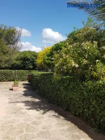 Villa Cino - Image 2